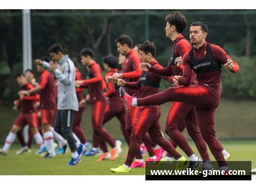 杨林球员的生涯成就和转会传闻